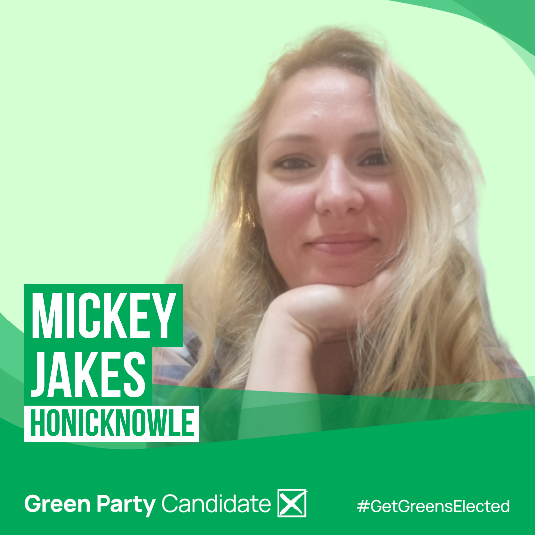 Mickey Jakes Green candidate Honicknowle